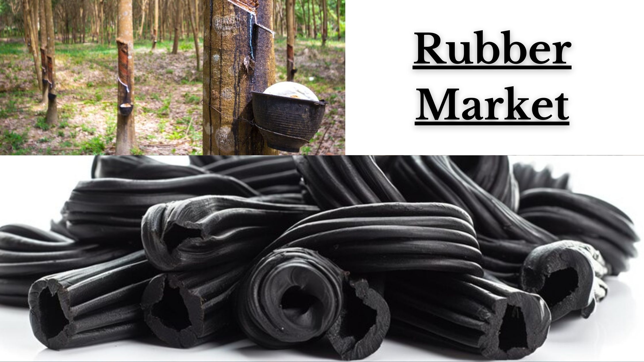 Rubber Market Share, Segmentation & Industry Insights 2032