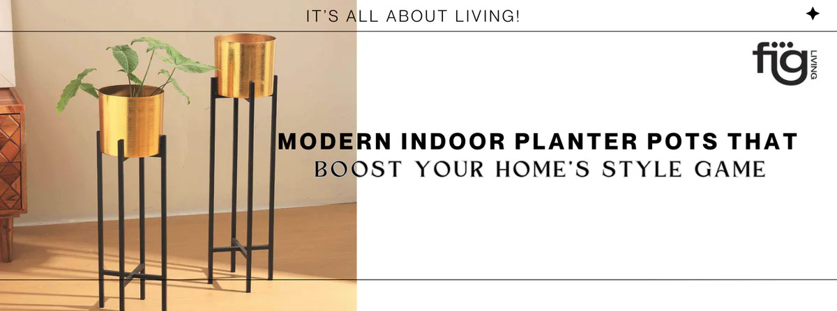 Modern Indoor Planter Pots for Stylish Homes - FIG Living