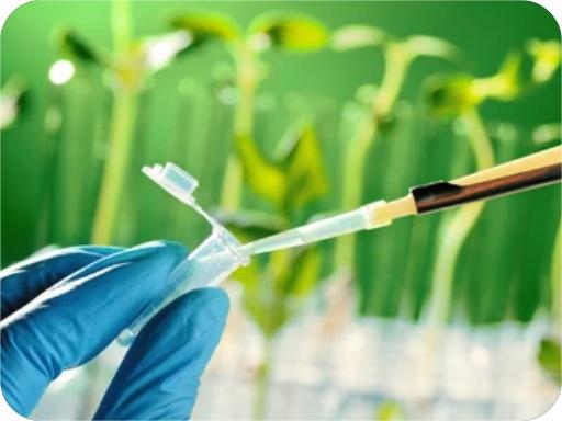 Understanding the Importance of ISO Certified Laboratory Testing Services in Environmental Compliance