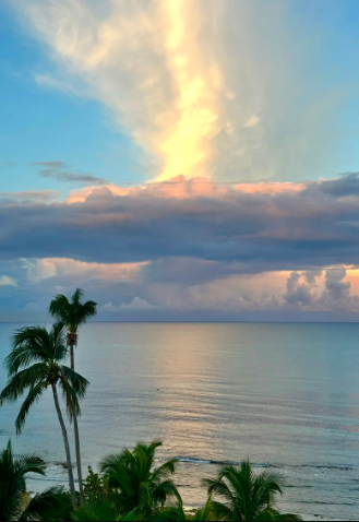 Holiday Host Guide: Impress Guests with Ease & Elegance