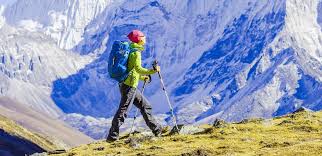 The Best Time to Visit Sikkim: A Seasonal Guide to Experiencing the Himalayan Beauty
