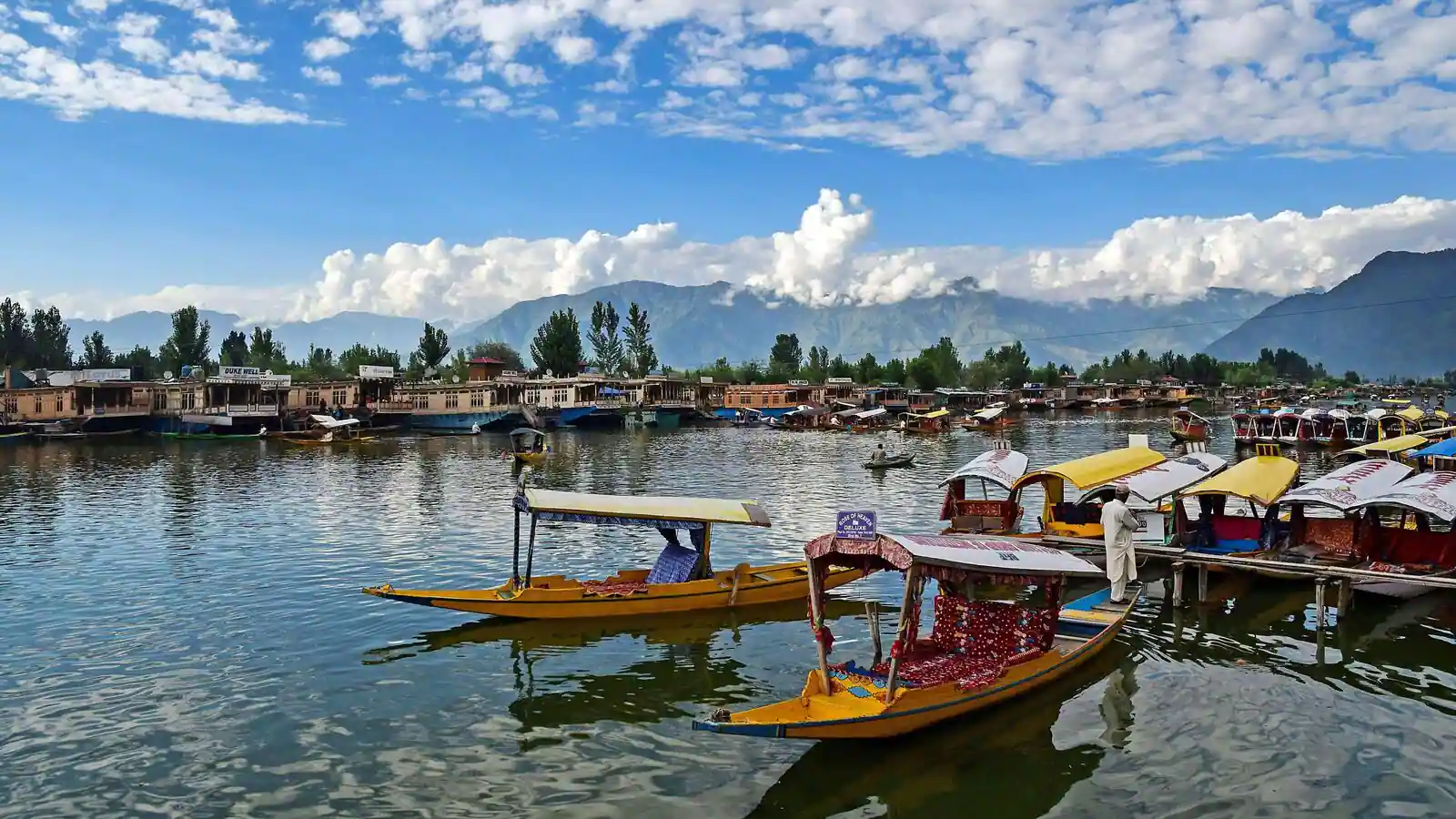 Top 7 Honeymoon Destinations in Kashmir for a Romantic Getaway