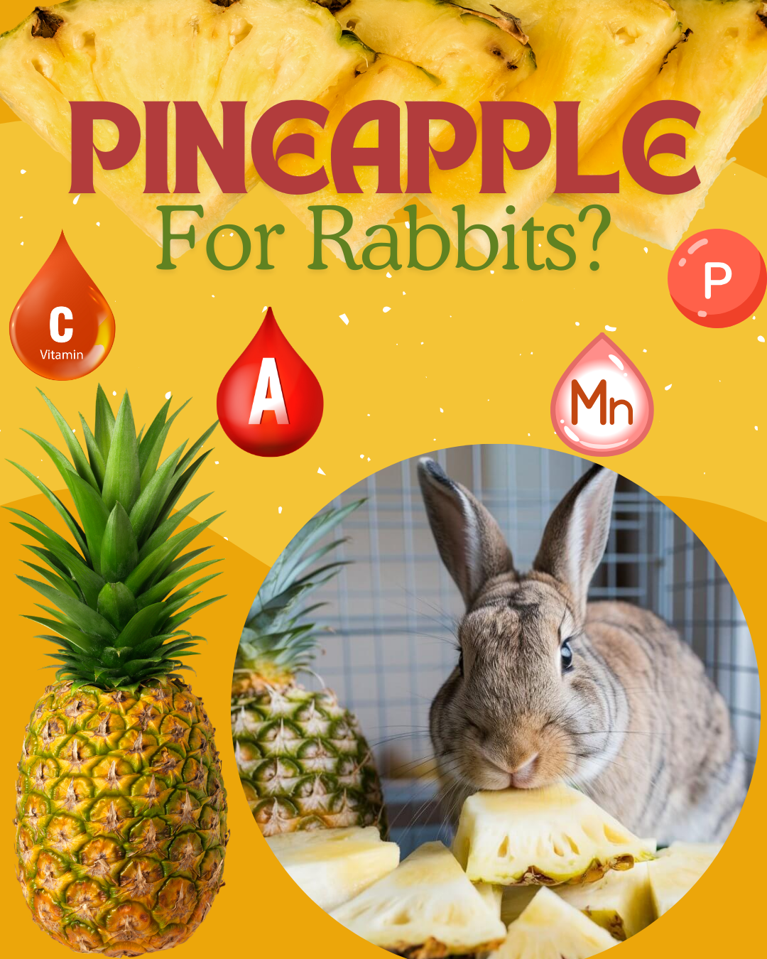 Do Rabbits Eat Pineapple Core? The Detailed Guide