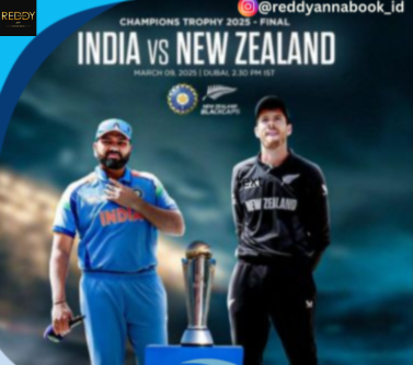 How to Use Reddy Book for Live Updates During the India vs New Zealand Final ODI