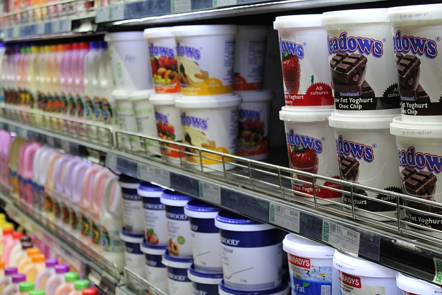 Yogurt Powder Market 2025: Growth, Trends, and Outlook
