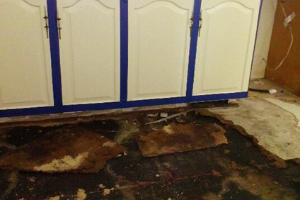 How to Stop Mold from Coming Back After Remediation