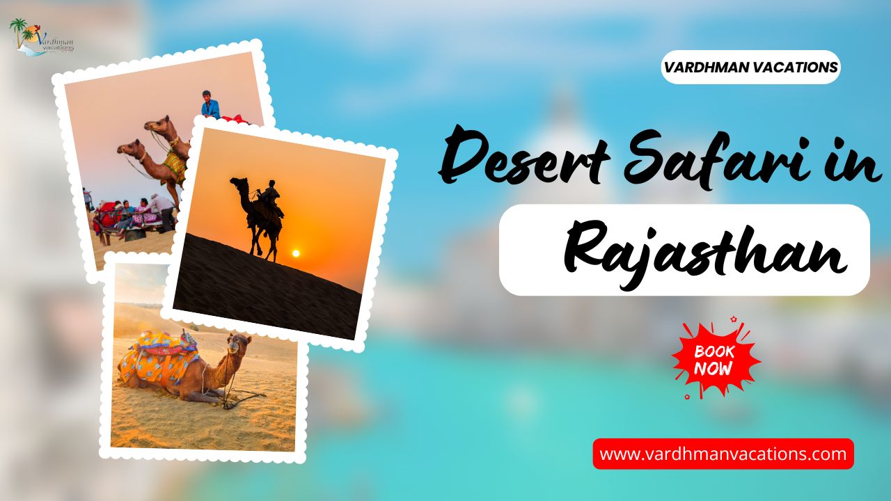 Rajasthan Safari: See the Desert the Easy Way