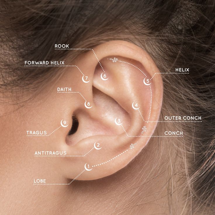 How Do Different Ear Acupuncture Points Affect Your Health?