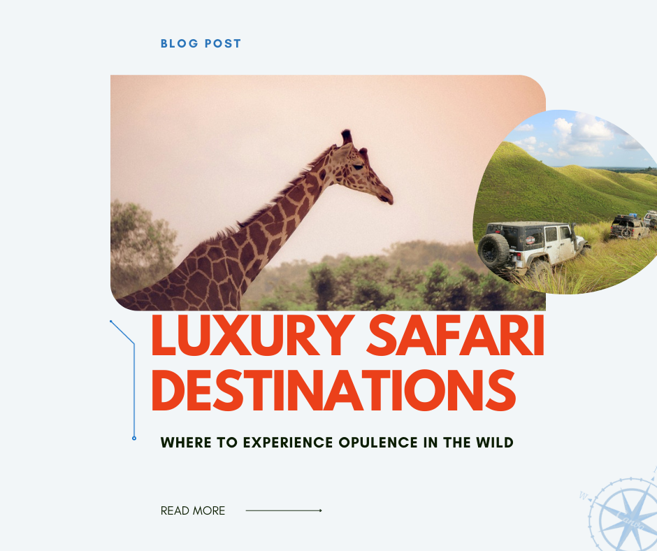 Luxury Safari Destinations: Where to Experience Opulence in the Wild