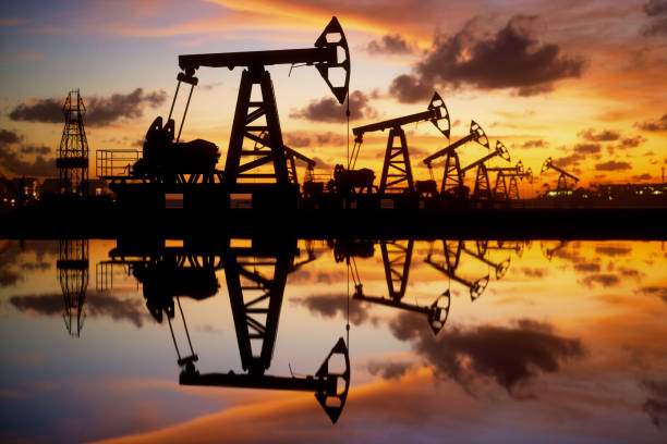 Saudi Arabia Drilling Fluids Market in 2025: Navigating Growth Amidst Evolving Energy Dynamics