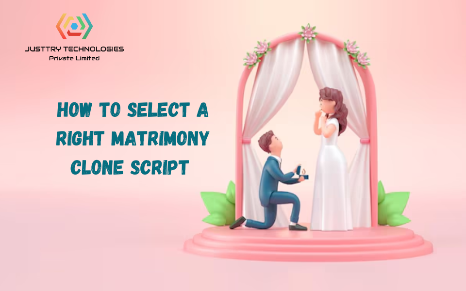 How to Select a Matrimony Clone Script in the Right Manner