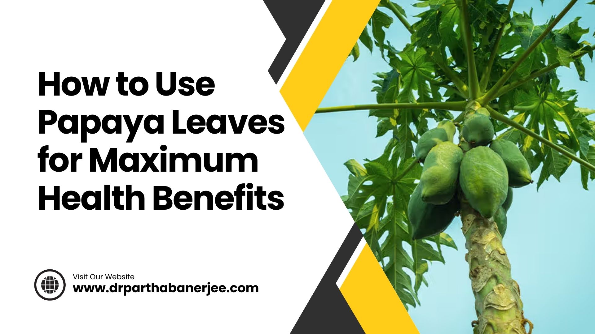 How to Use Papaya Leaves for Maximum Health Benefits