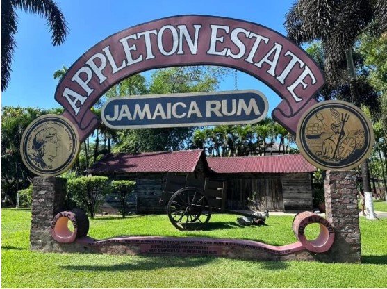 Explore the Rich History and Craftsmanship of Appleton Estate Rum Tour St. Elizabeth