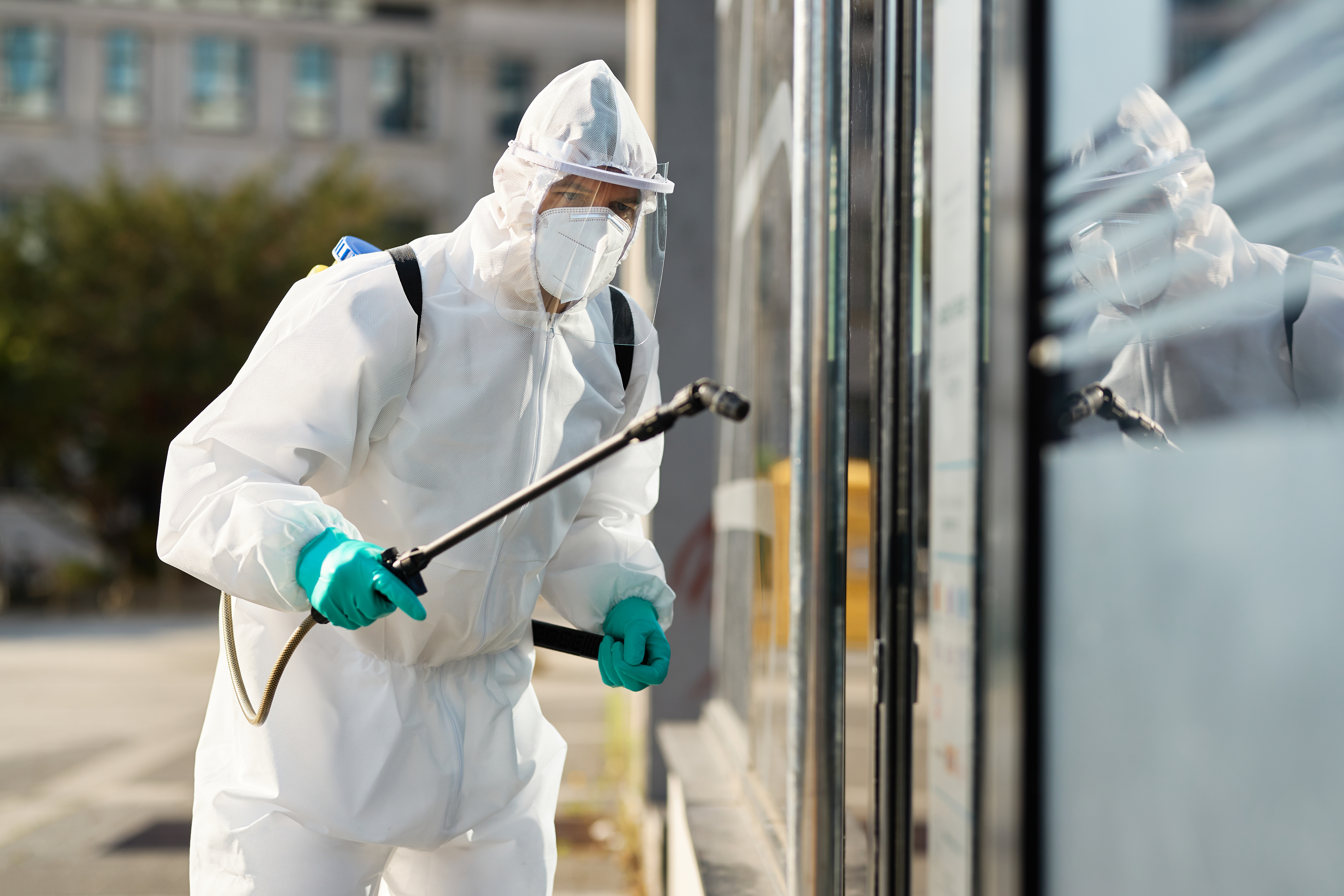 Ultimate Guide to the Best Pest Control Service in Mahalaxmi: Your One-Stop Solution for a Pest-Free Space