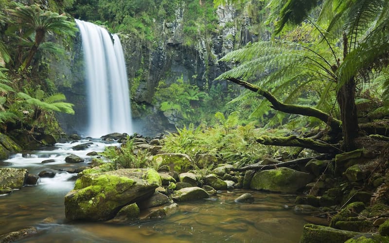 Australia's Most Stunning Waterfalls That Will Leave You Breathless