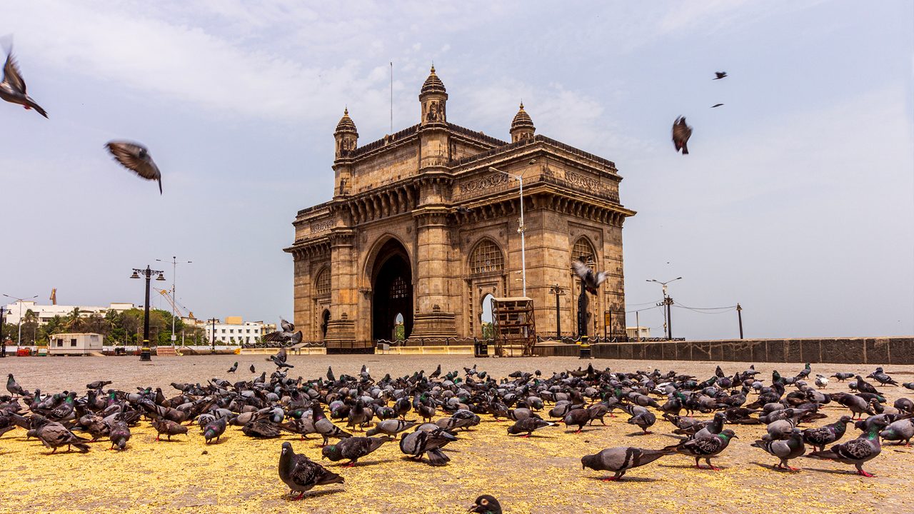 Exploring Big Mumbai: A Dynamic Metropolis