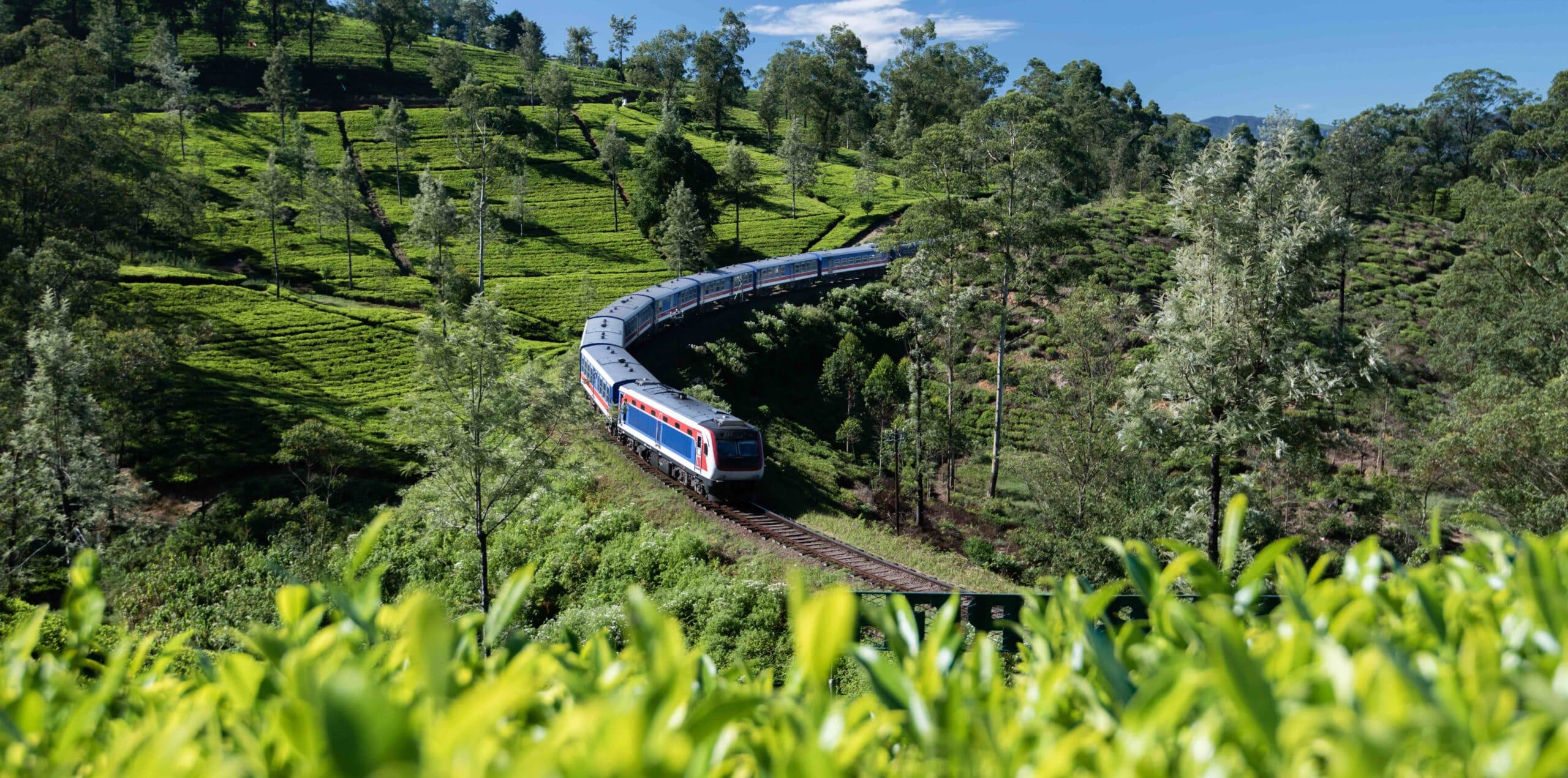 Things to do in ella sri lanka