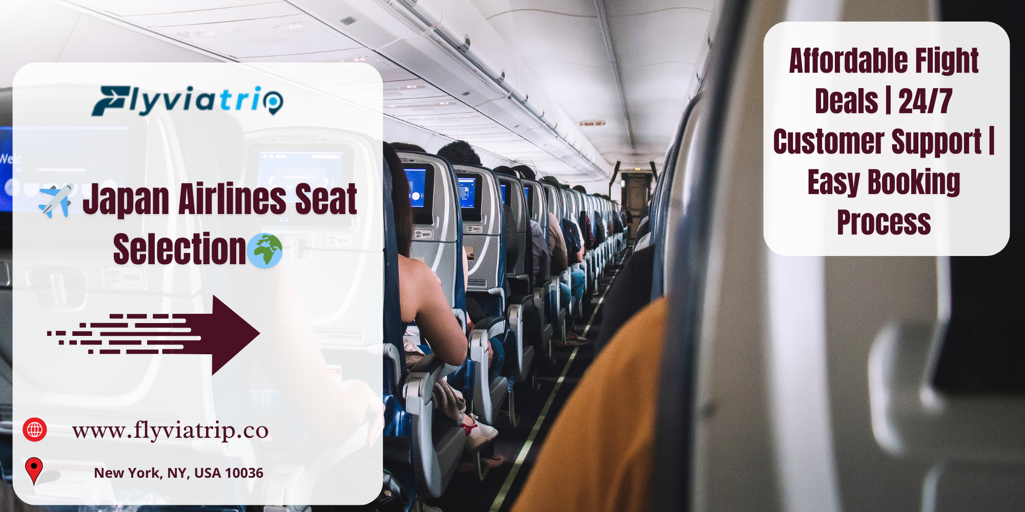 Explore Comprehensive Japan Airlines Seat Selection Options