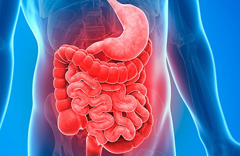 Future Opportunities in the Gastrointestinal (GI) Stents Market: A Strategic Analysis
