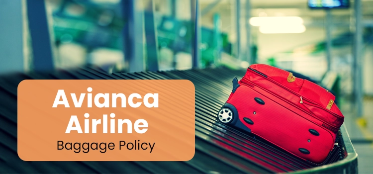 A Complete Guide to Avianca Baggage Policy