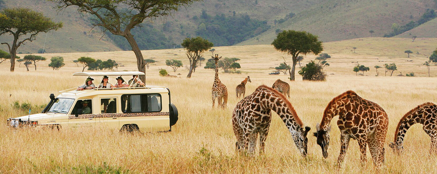 The importance of the amazing and Best Tanzania Wilderness Adventure
