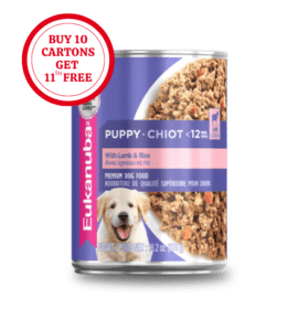 The wonderful and valuable dry dog food online