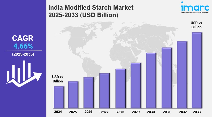 India Modified Starch Market Report 2025 Edition: Industry Market Size, Share, Growth and Competitor Analysis