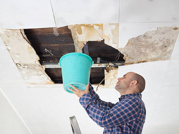 Avoid Major Repairs with Timely Roof Leak Fixes in Arlington