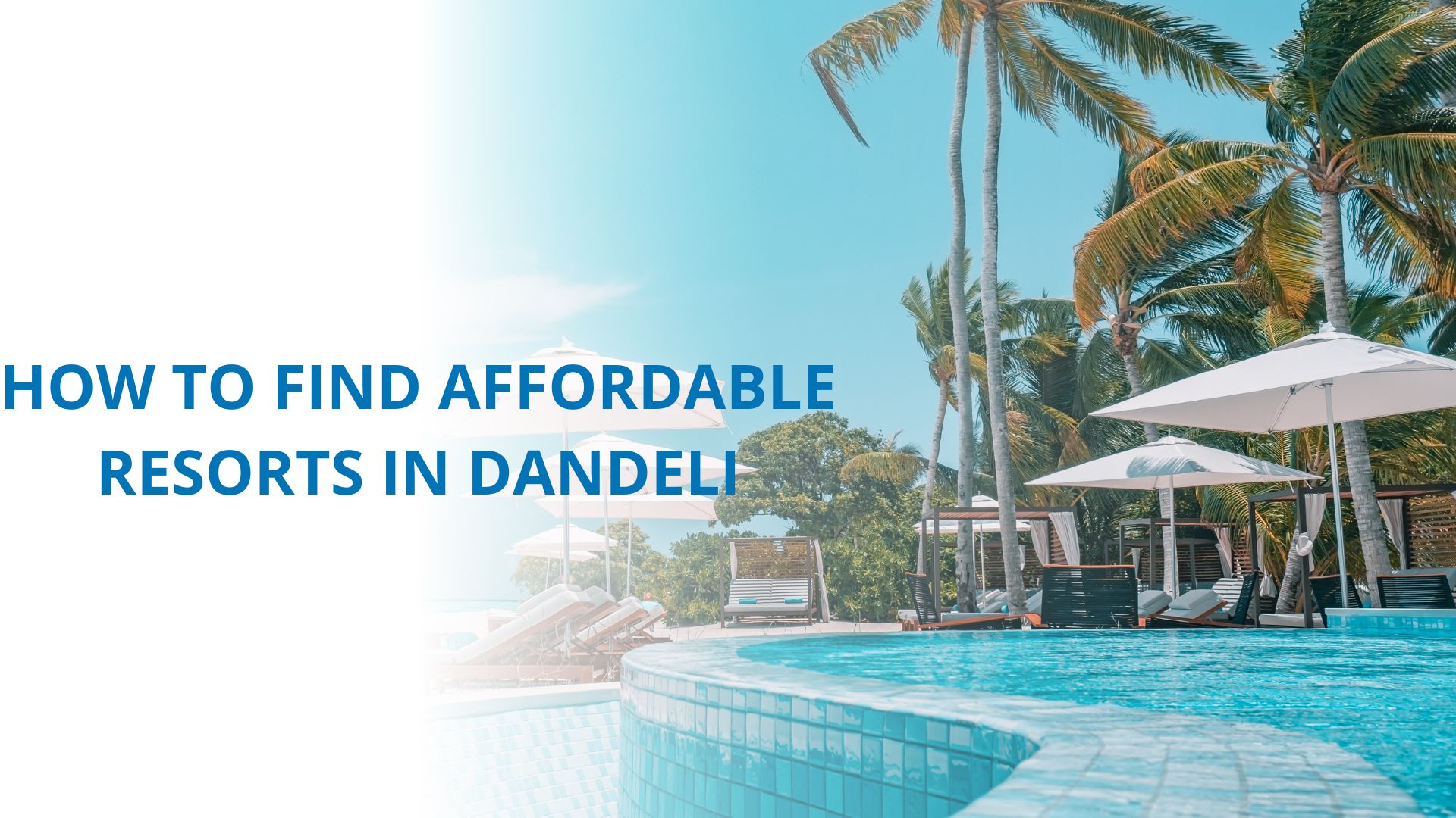 How to Find Affordable Resorts in Dandeli