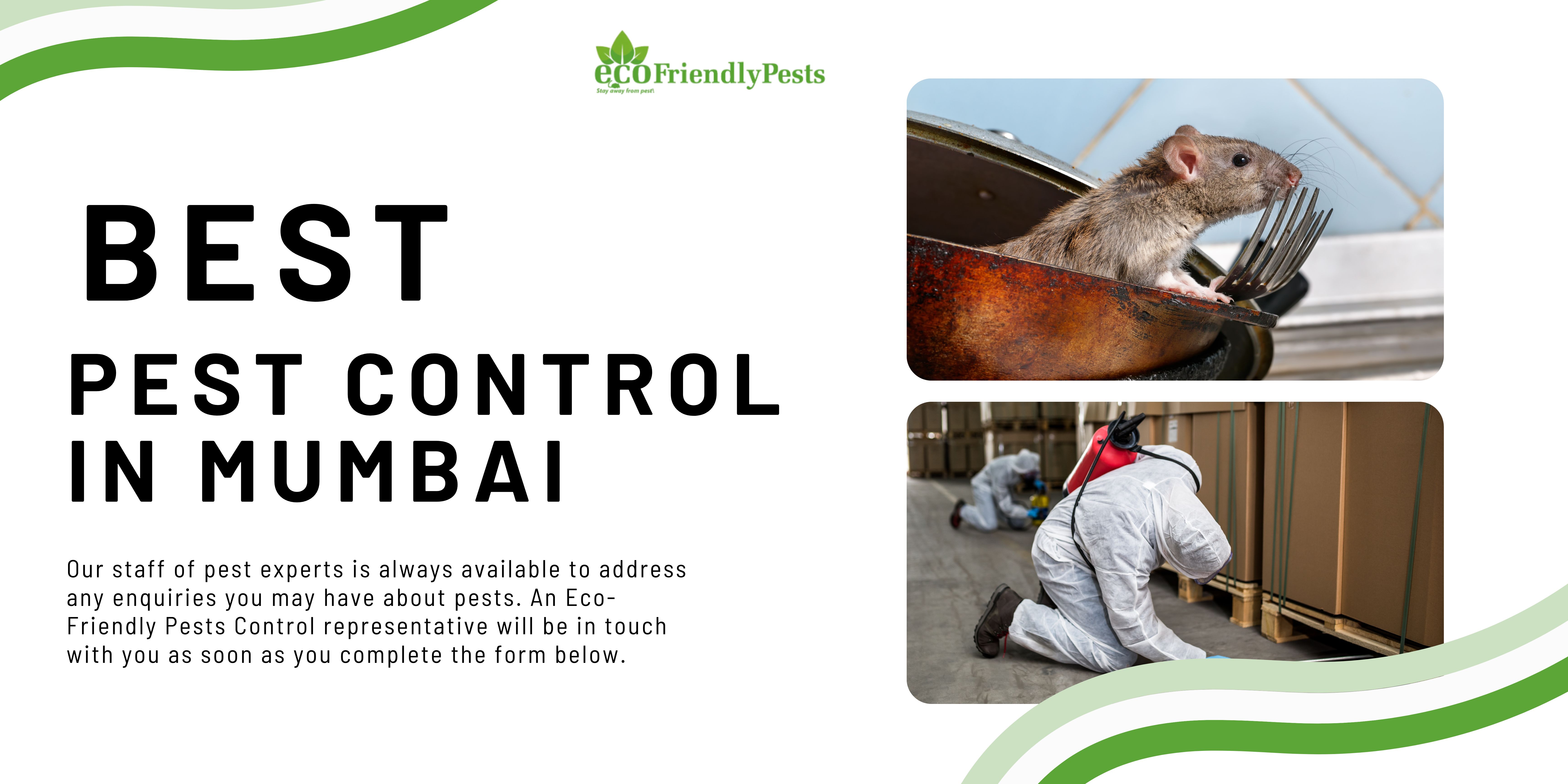 Your One-Stop Solution for Pest Control in Mumbai