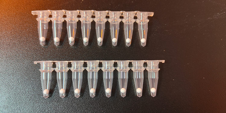 Strategies and Innovations in Lyophilized Reagents Market: A Focus on LyoWave Inc.