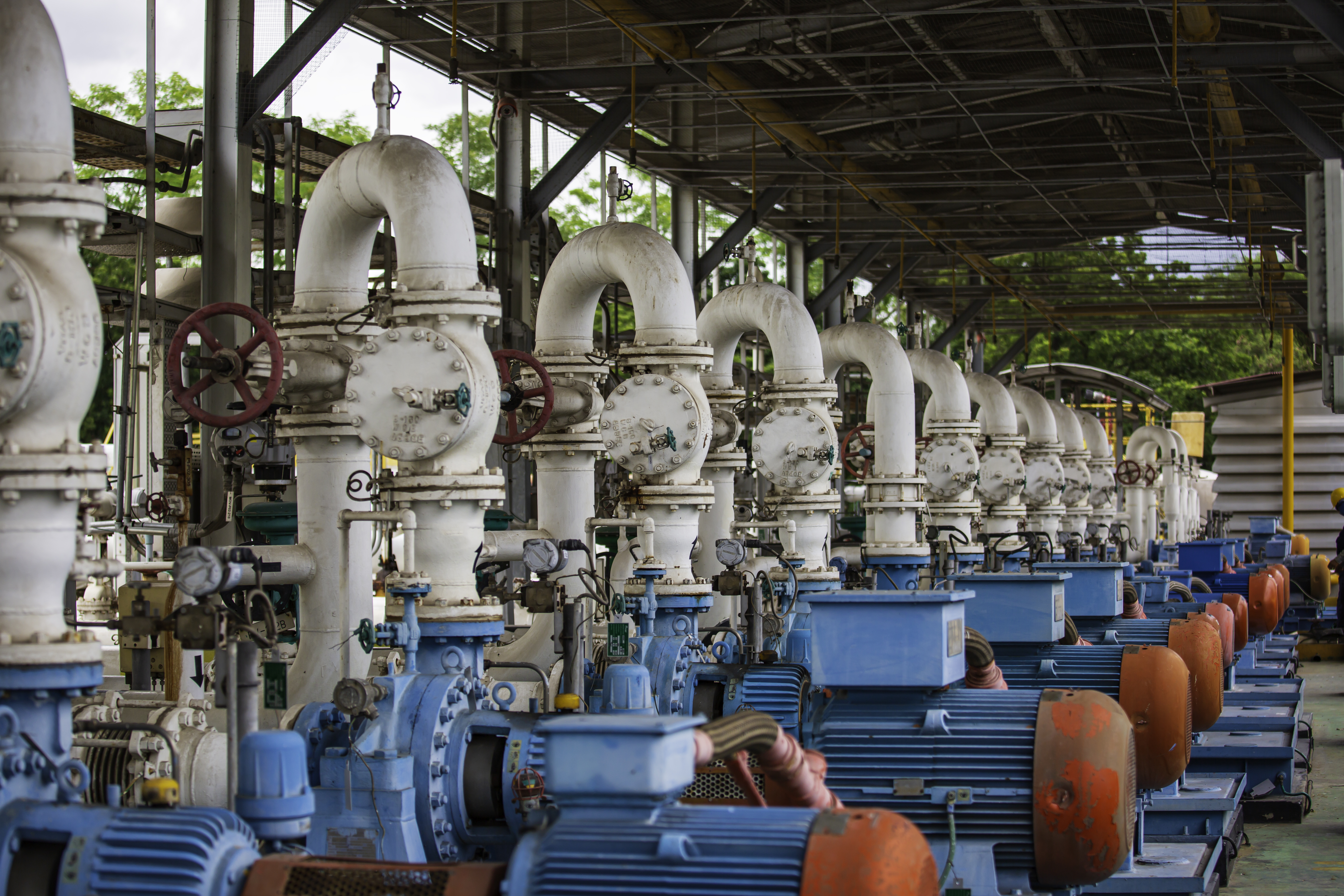 Blackmer Pumps: Reliable Solutions to Your Fluid Handling Needs in Aliyaqoob