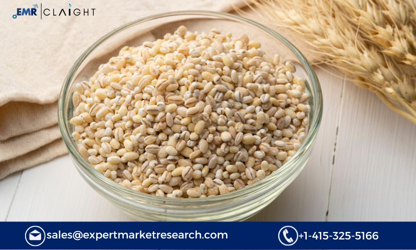 Barley Procurement Intelligence Report 2025: Key Steps, Challenges and Solutions