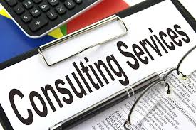 Business Consultancy Services in India | SVOD Advisory