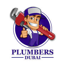 The Advantages of Choosing a Skilled Plumber for Your Plumbing Requirements