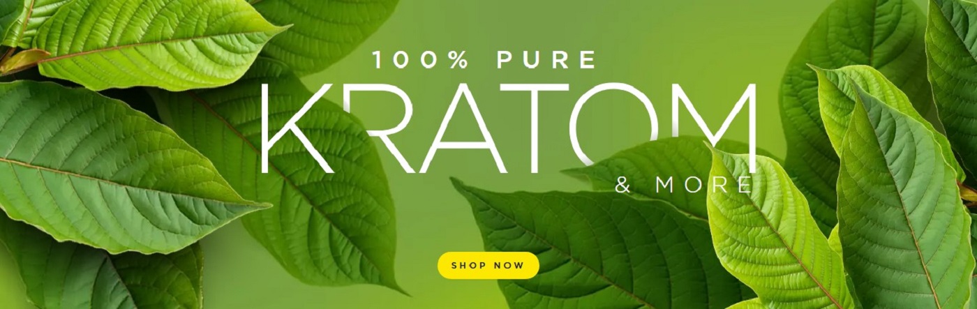 Natural Plant Powders That Could Change Your Daily Routine