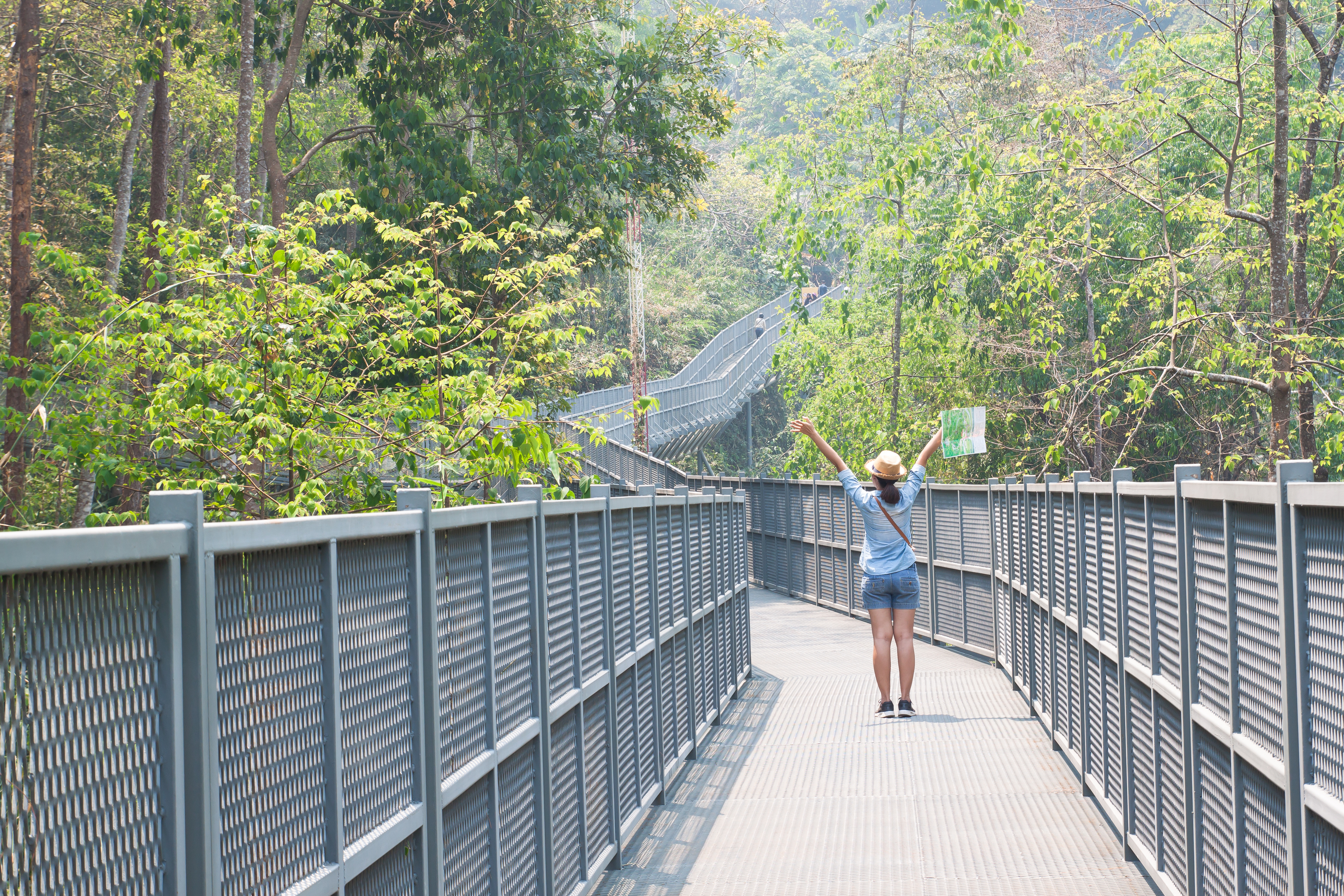 Exploring Chandigarh: A Perfect Blend of Modernity and Serenity