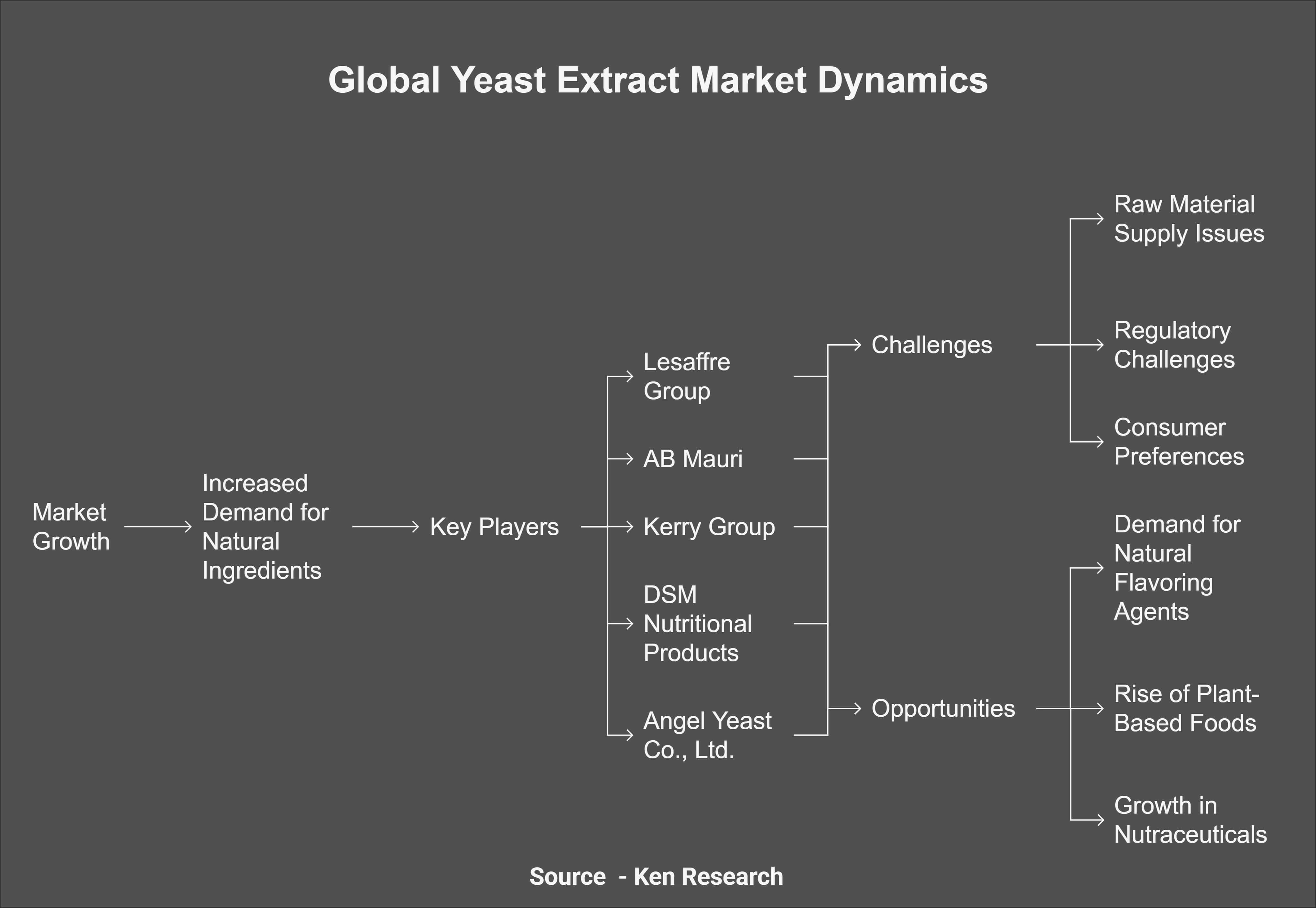 Global Yeast Extract Market: In-Depth Insights on Key Players, Challenges, and Opportunities