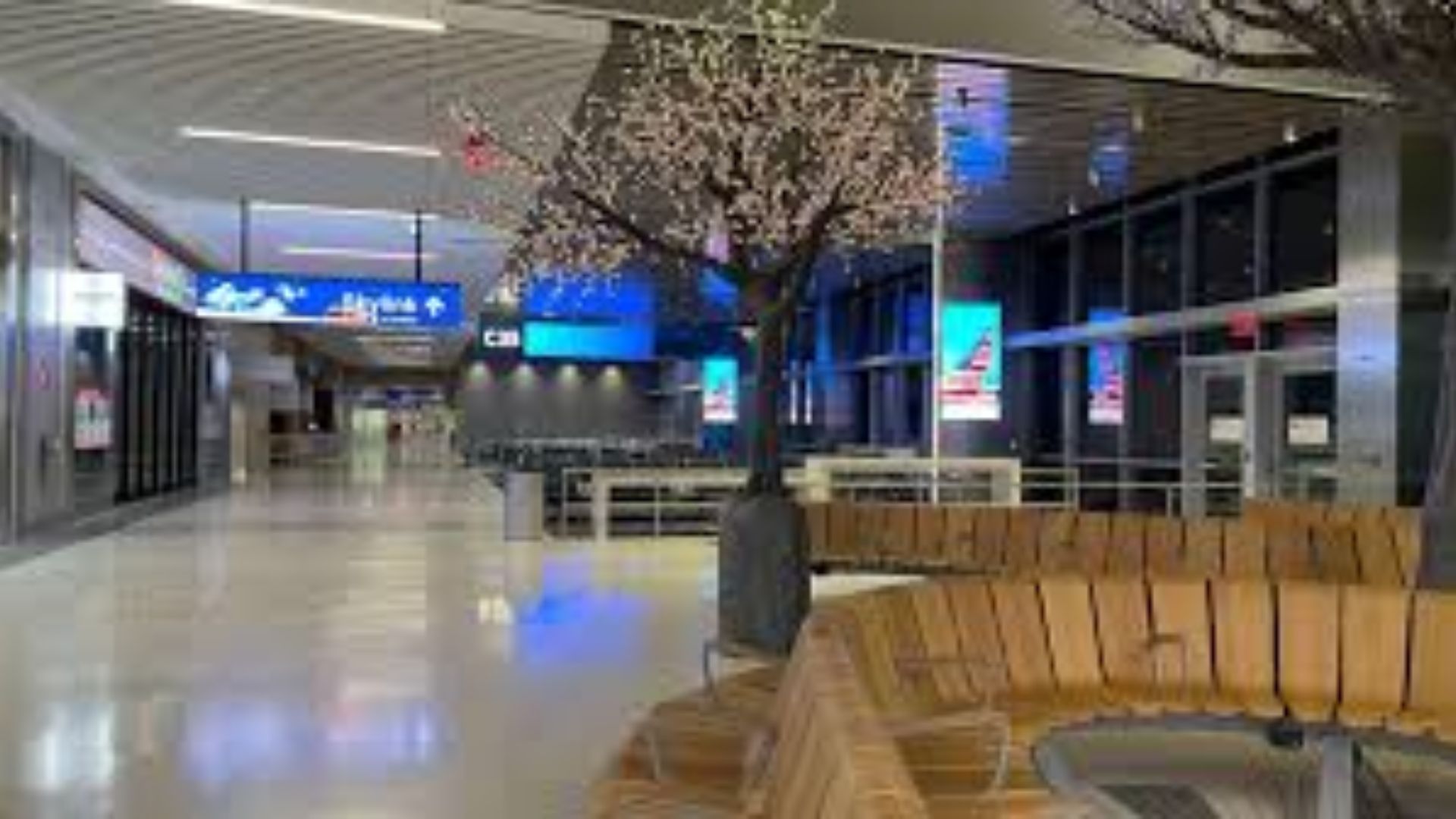 Luxury and Convenience at Emirates Airlines JFK Terminal