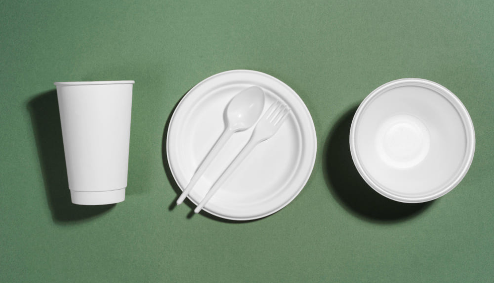 Key Steps for Setting Up a Biodegradable Plastic Manufacturing Plant: Comprehensive Business Plan
