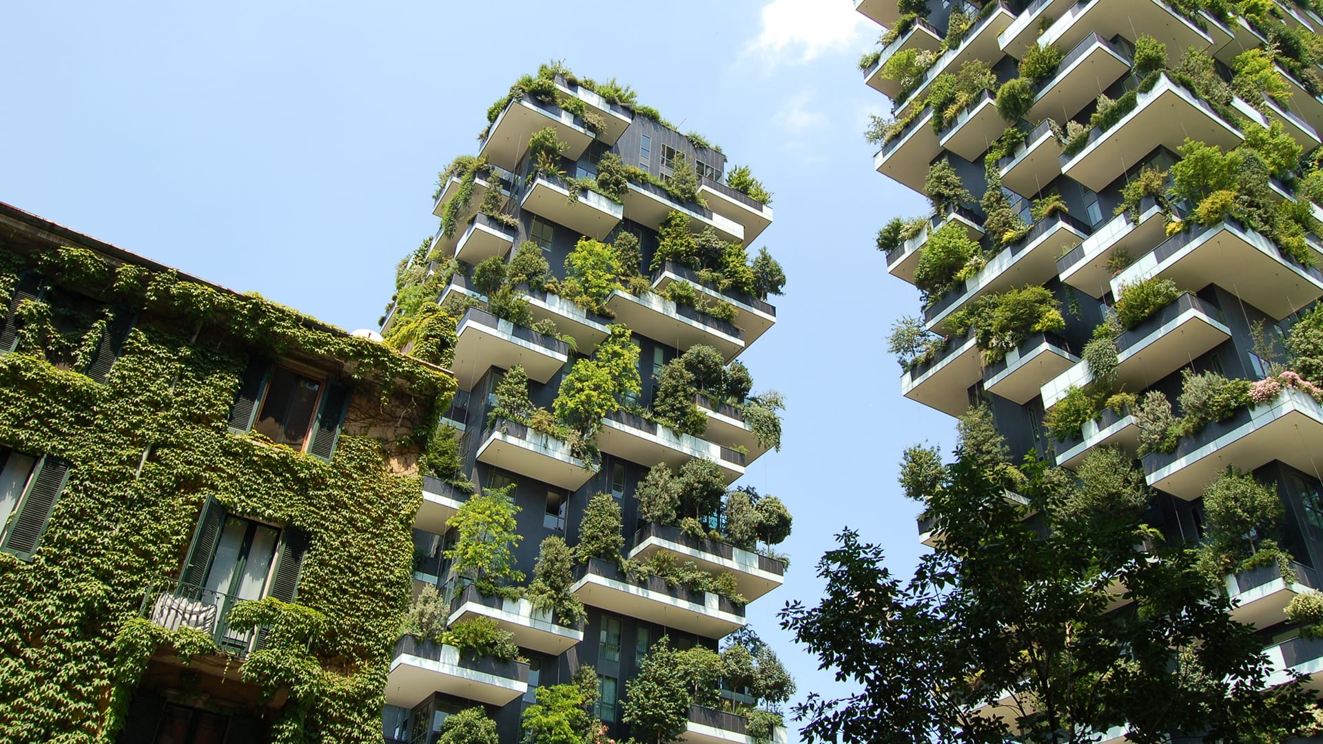 Sustainable Constructions: How Green Building Materials Are Revolutionizing Home Design