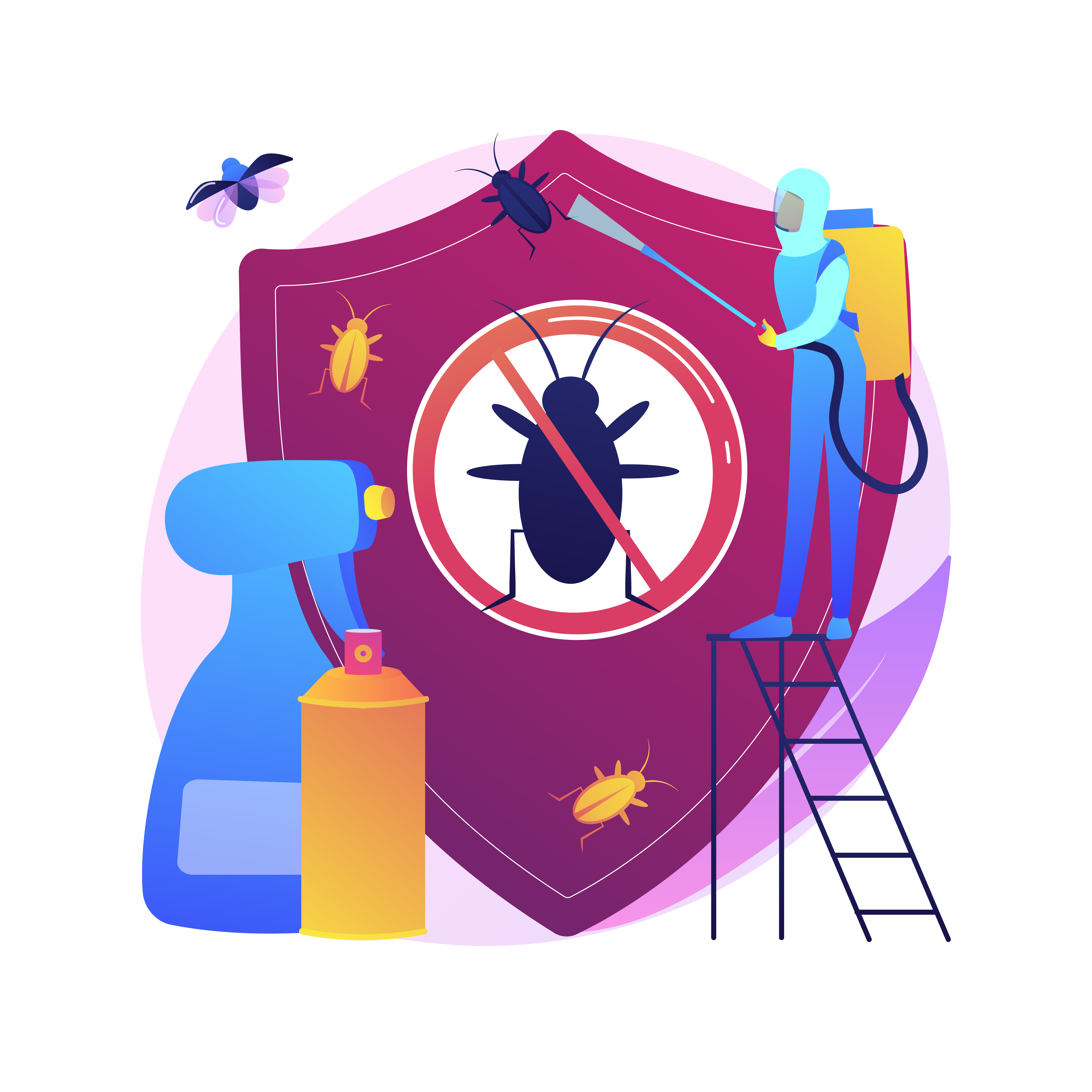 Professional Spider Exterminator Services in Las Vegas