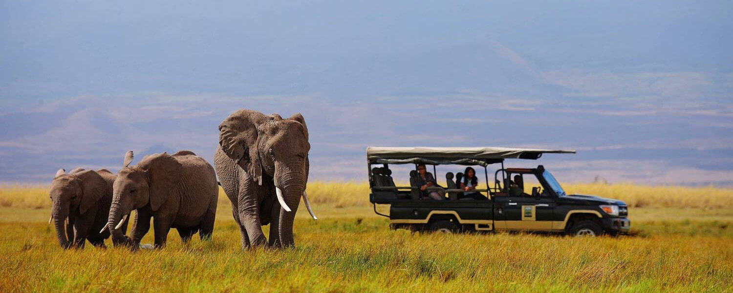 The best and amazing professionally guided safaris in Kenya