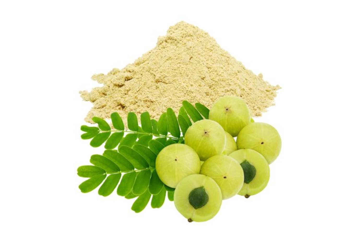 How Ghritkumari Extract Can Help in Managing Constipation