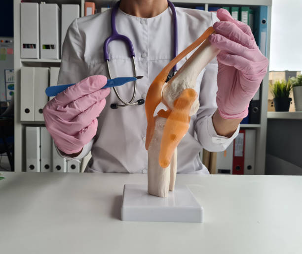 AlloSource: Pioneering Innovations in the Cartilage Repair Market