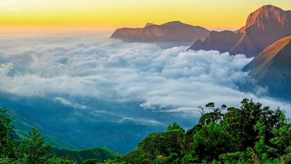 Affordable Munnar Tour Packages – Budget-Friendly Trips to Nature’s Bliss