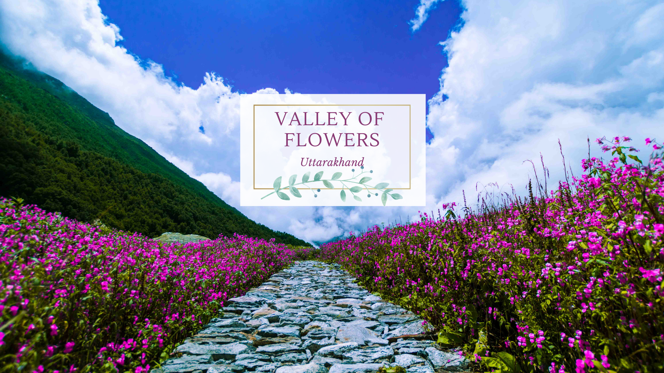 Valley of Flowers Trek - Best Monsoon Trek Uttarakhand