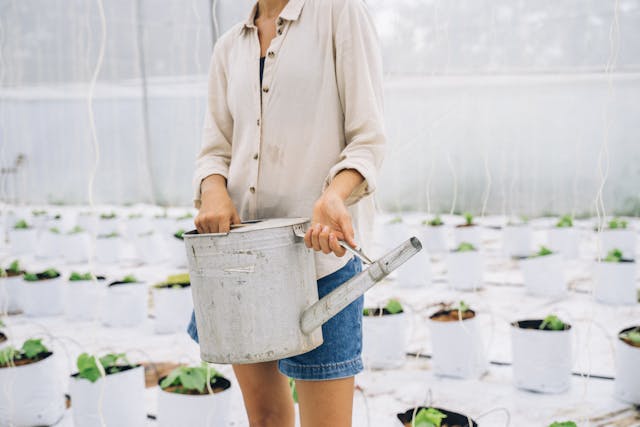 Professional Gardening Tools To Help Your Business Thrive