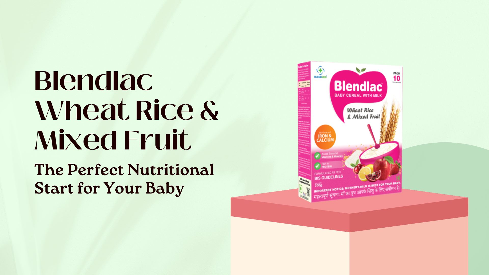 Blendlac Wheat Rice & Mixed Fruit – Nutritionally Balanced Baby Cereal for Healthy Growth