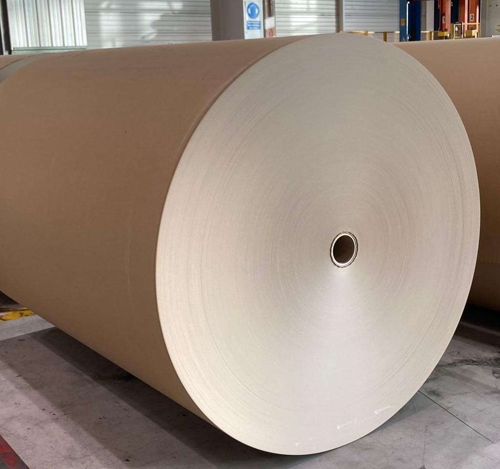 VPK Group's Strategy and Innovations in the Italy Containerboard Market